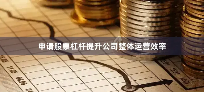 申请股票杠杆提升公司整体运营效率